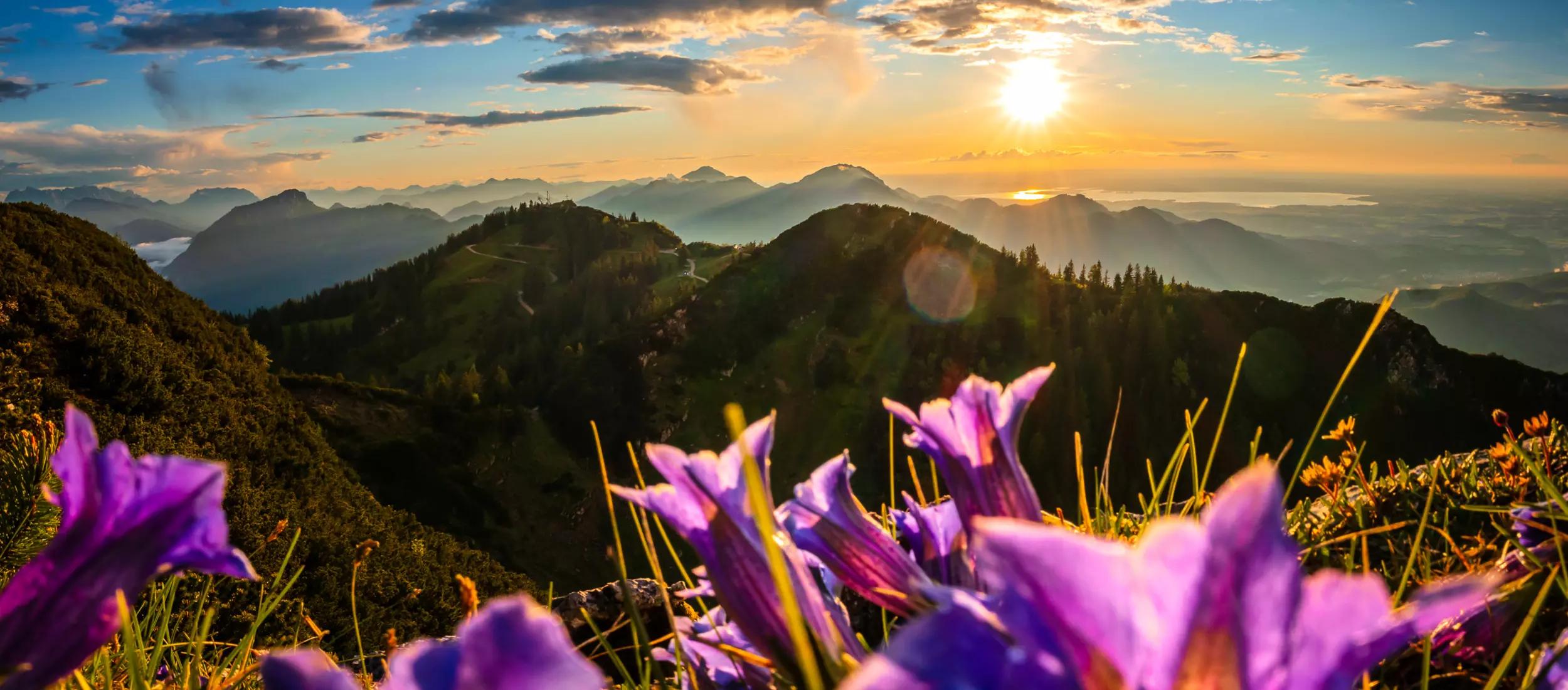 Insel Sylt Tourismus-Service GmbH Ruhpolding Tourismus Kommunalunternehmen AdöR